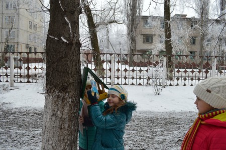 проект кімнатні рослини