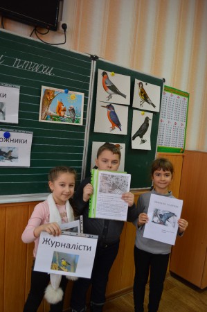 Проект "Зимуючі птахи"