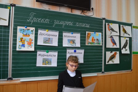 Проект "Зимуючі птахи"