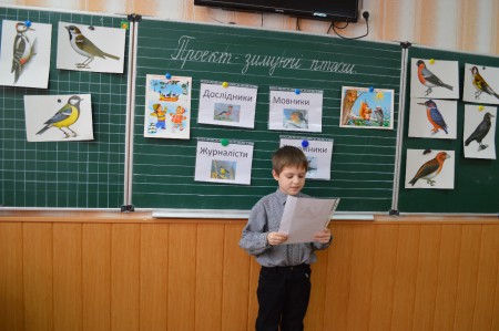 Проект "Зимуючі птахи"